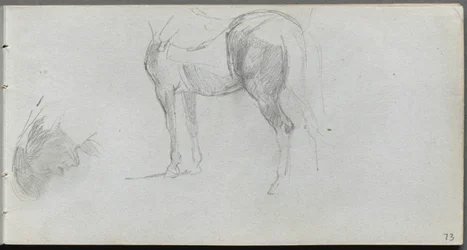 Taccuino, pagina 73: Studio di un cavallo, profilo