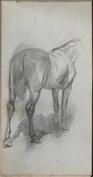 Taccuino, pagina 76: Studio di un cavallo