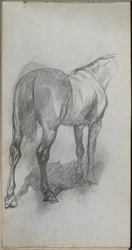 Taccuino, pagina 76: Studio di un Cavallo