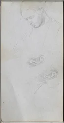 Taccuino, pagina 96: Studio di un volto, orecchie