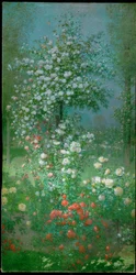 Cespuglio di rose