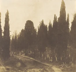 Turchia: Cimitero di Scutari, 1852 (foto)