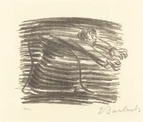 Camminata nell