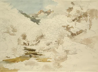 Bosco vicino a Massa