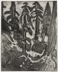 Foresta di montagna