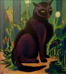 Gatto nero (gatto Bobby)