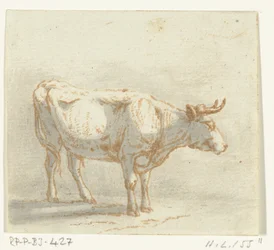 Toro in piedi, verso destra