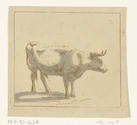 Toro in piedi, verso destra