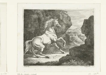 Cavallo bianco che salta