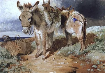 Asini, 1855