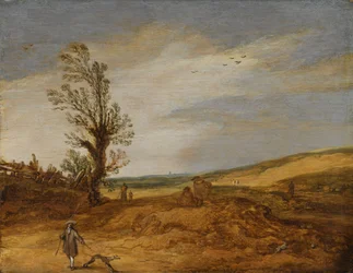 Una vista sulle dune
