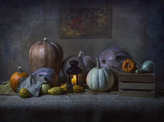 Zucche del raccolto autunnale