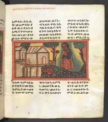 Scena della vita della Vergine Maria, da 
