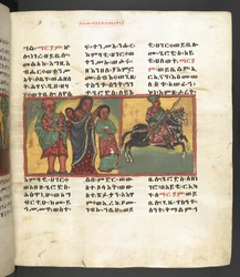 Scena della vita della Vergine Maria, da 