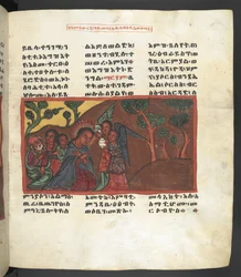 Scena della vita della Vergine Maria, da 