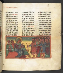 Scena della vita della Vergine Maria, da 