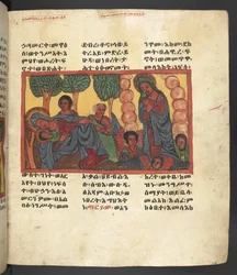 Or. 607 f066r, Scena della vita della Vergine Maria, da 