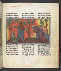 Scena della vita della Vergine Maria, da 
