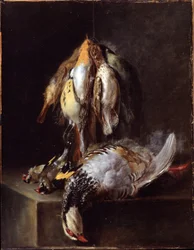 Uccelli morti
