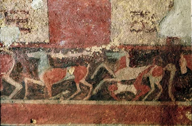Cavalli e cavaliere (dettaglio di affresco, 510 a.C.)