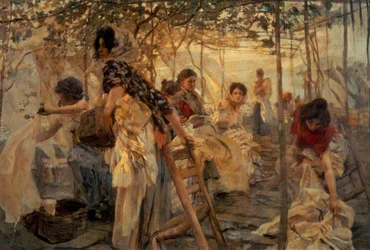 Lavandaie