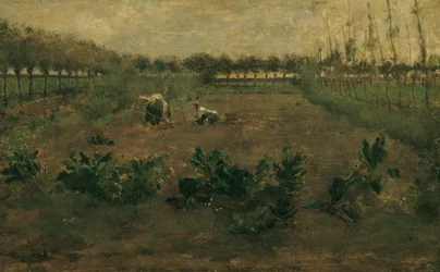 Lavoro nei campi