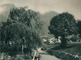 Strada per il Castello di Tirolo, Merano, Alto Adige, Italia, 1927
