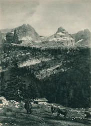 Vista del gruppo Brenta con pascolo alpino, Madonna di Campiglio, Dolomiti, Italia, 1927