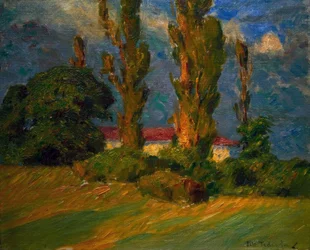 Un ultimo raggio di sole, Schizzo