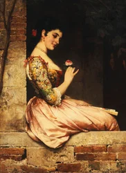 La rosa rosa