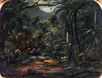 Ferntree Gully nelle Dandenong Ranges