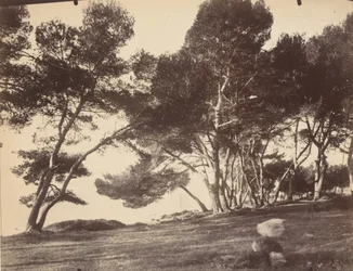 Cannes, Ile Saint Honorat, 1899-1927 circa (foto)