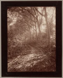 Parco di Sceaux