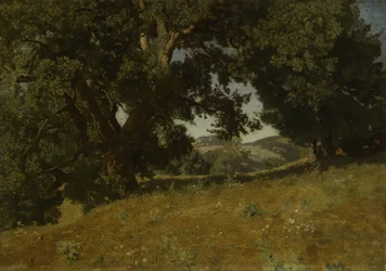 Paesaggio