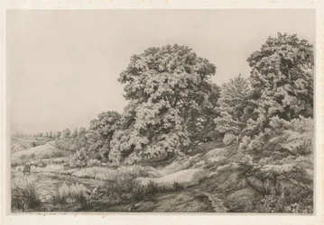 Querce presso uno stagno