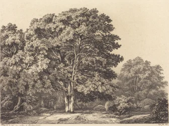 Ingresso a una foresta, 1840