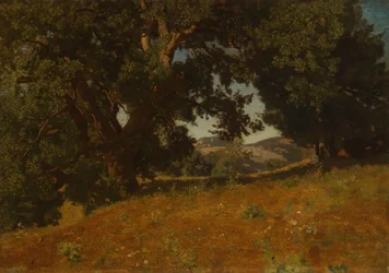 Paesaggio