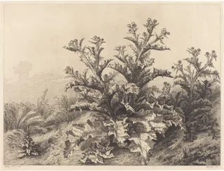 Grande Cardo, 1843