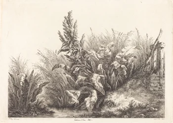 Studio di una pazienza-dock