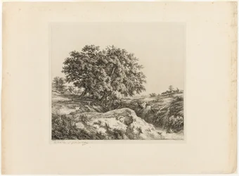 Il Mazzo di Alberi, o I Tigli (Souvenir della Sarthe)