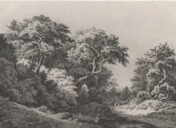 Il Bordo del Bosco, vicino a Rambouillet