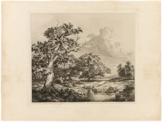 La vecchia quercia presso le piscine di Bellecroix