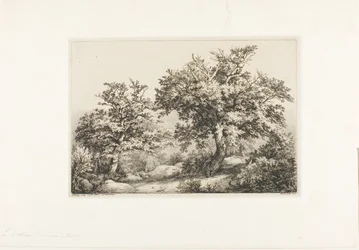 Le Due Querce, Fontainebleau