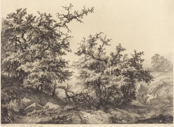 Rovi, 1840