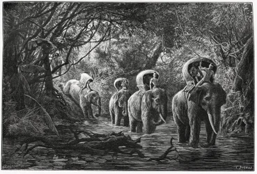 In viaggio nella foresta, la spedizione viaggia sul dorso di un elefante. Incisione di Eugene Burnand, per illustrare la storia "Viaggio nell