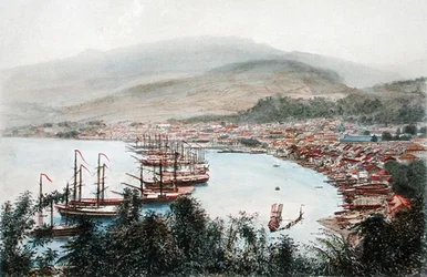 Veduta di Saint-Pierre vista dalla batteria di cannoni a Sainte-Marthe, Martinica