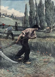 Illustrazione di Damblans in 