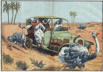 Caccia moderna: nel deserto arabico, ricchi beduini guidano giovani austriaci per catturarli vivi. Illustrazione di Damblans. In “Le Pèlerin” del 16 aprile