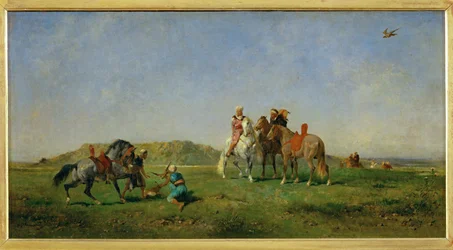 Chasse au faucon en Algerie - Caccia con i falchi in ...