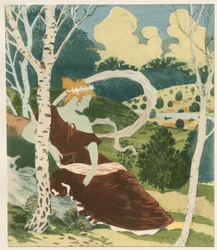Nel bosco